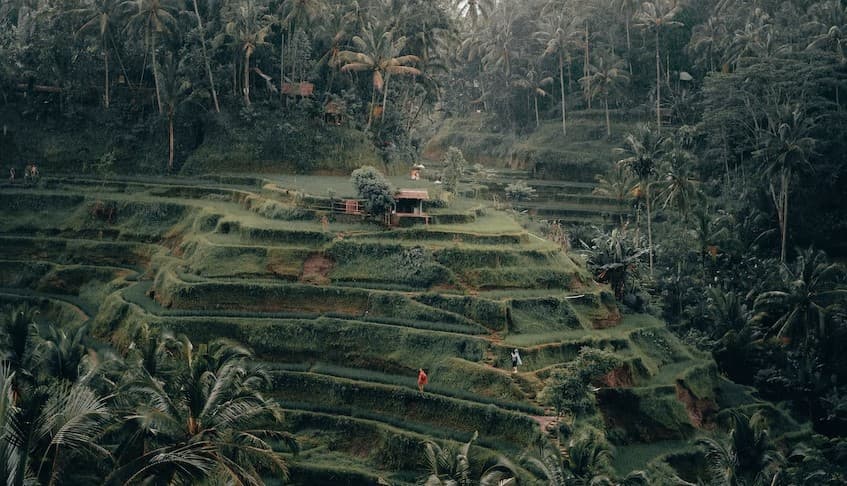 Spot foto di Ubud | Wisata Kekinian yang Ramai di Media Sosial - Blogger Seindotravel