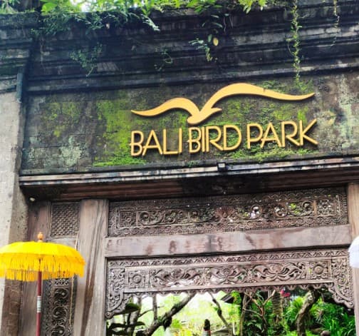 Berwisata Seru dan Edukatif di Bali BirdPark - Blogger Seindotravel